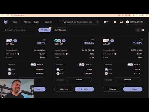 IMinswap Course MinWallet Setup