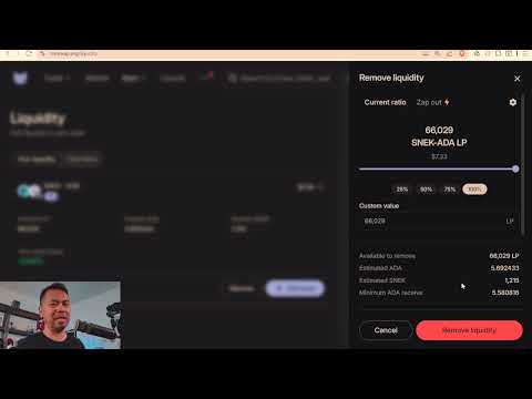 IMinswap Course MinWallet Setup