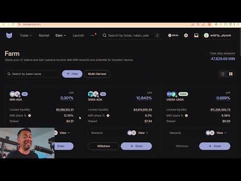 IMinswap Course MinWallet Setup