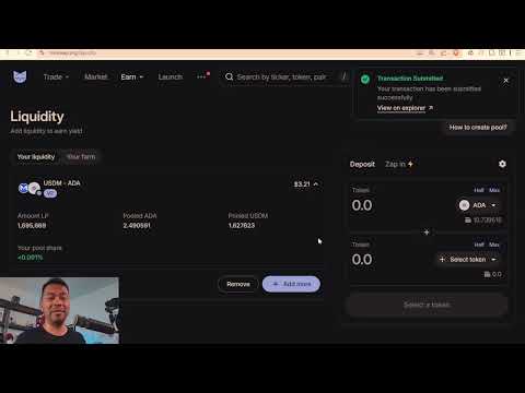 IMinswap Course MinWallet Setup